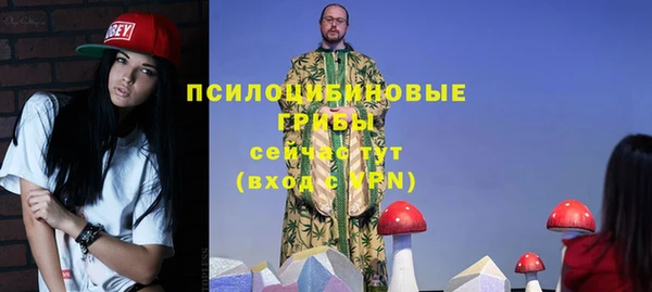 ГАЛЛЮЦИНОГЕННЫЕ ГРИБЫ Богородск